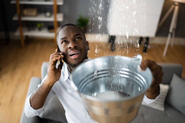 Best Water damage cleanup near me  in Hernando Beach, FL