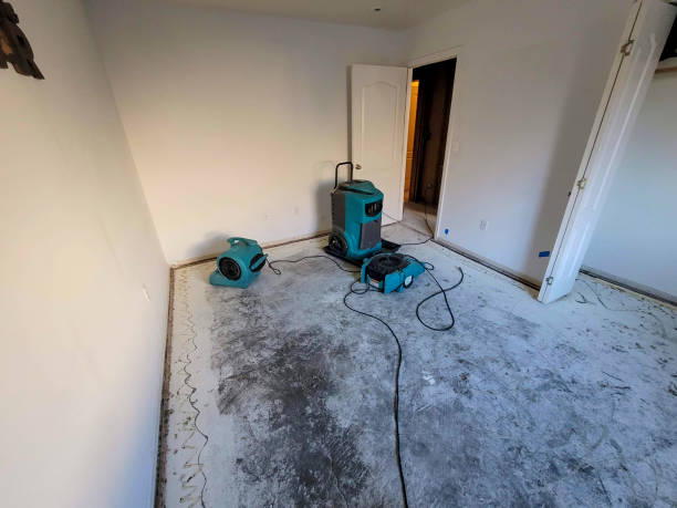  Hernando Beach, FL Water damage restoration Pros