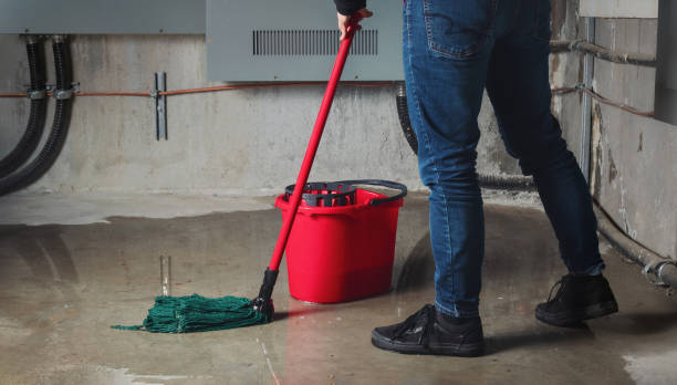 Best Commercial water damage restoration  in Hernando Beach, FL