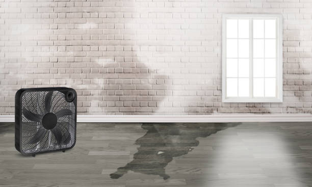 Reliable Hernando Beach, FL Water damage restoration Solutions