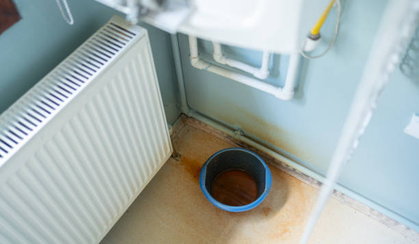 Best Residential water damage restoration  in Hernando Beach, FL