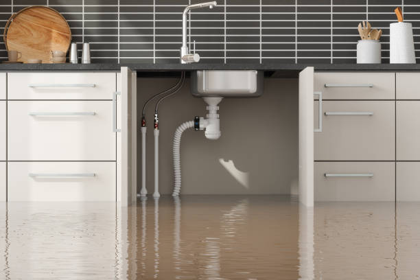 Best Professional water damage repair  in Hernando Beach, FL