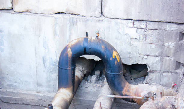 Best Local water damage restoration  in Hernando Beach, FL
