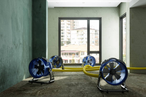 Best 24/7 water damage repair  in Hernando Beach, FL